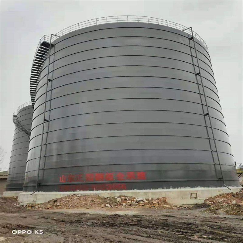 建始3万吨大型钢板库